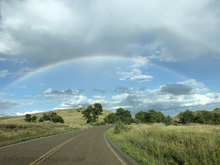 Visit Theodore Roosevelt National Park Rainbow. Simply Beautiful.