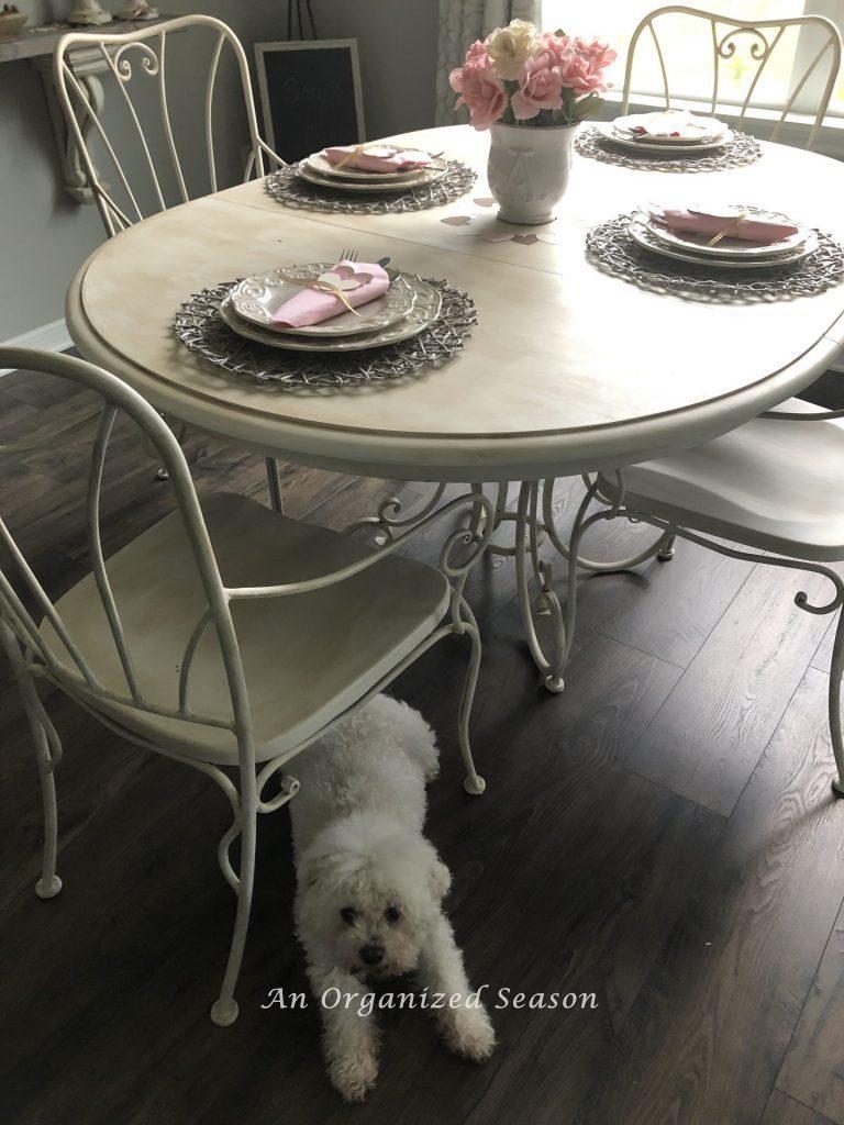 white dog under table showing off dark brown hardwood floors which is step four in my eat-in kitchen makeover 