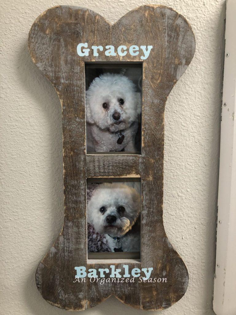 A picture of our dogs in a frame shaped like a bone, embellished with their names showing to organize pet supplies in a beautiful way.
