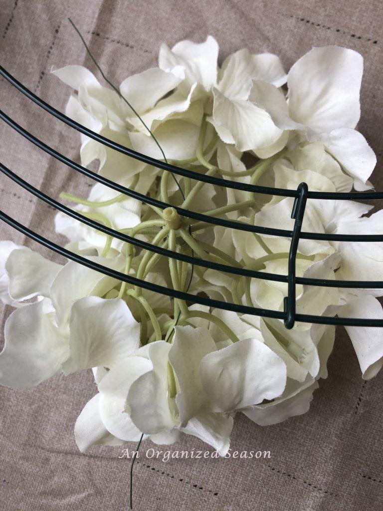 a white hydrangea bloom under the wreath form with a piece of floral wire inserted through the form and flower. Step four showing how to make a spring wreath using hydrangea.
