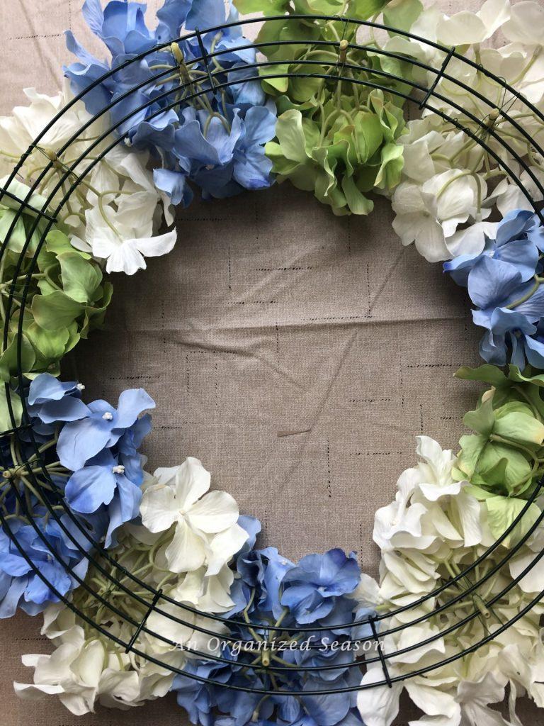 Eleven hydrangea blooms turned upside down sitting inside a wreath form.  Step three for how to make a spring wreath using hydrangea.