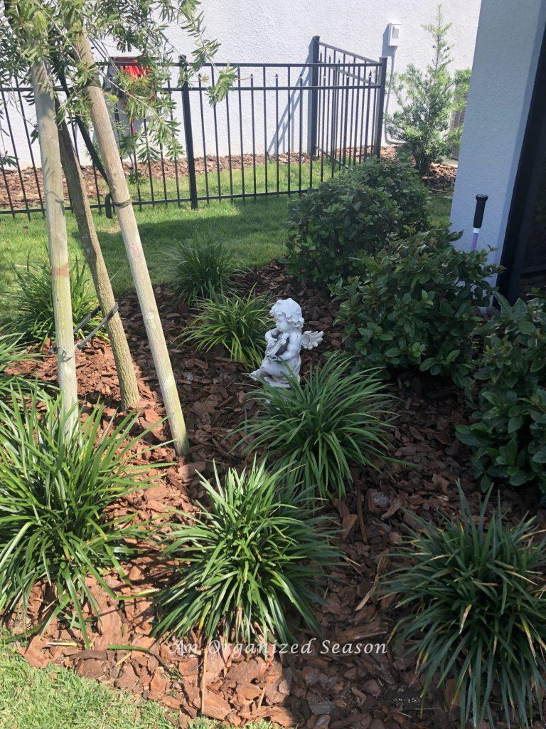 A landscape bed containing eight spider plants, three shrubs, a tree and an angel statue that has fresh pine bark mulch  an example of helpful tips to organize and spruce up your yard!  