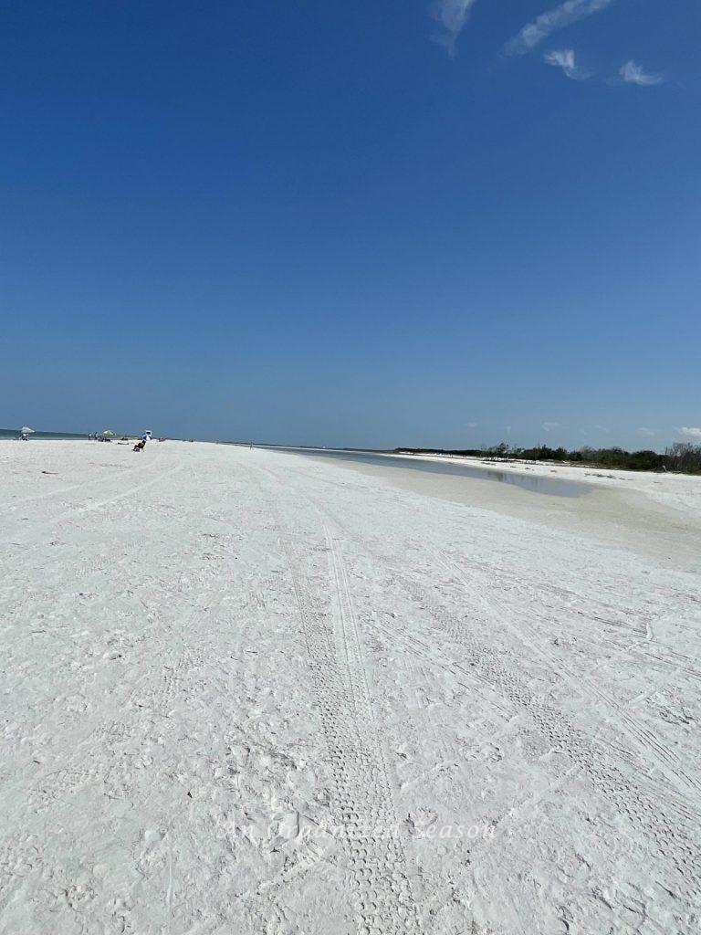 A wide, white, sand beach with a beautiful blue sky that we enjoyed while camping at Fort De Soto Park. 