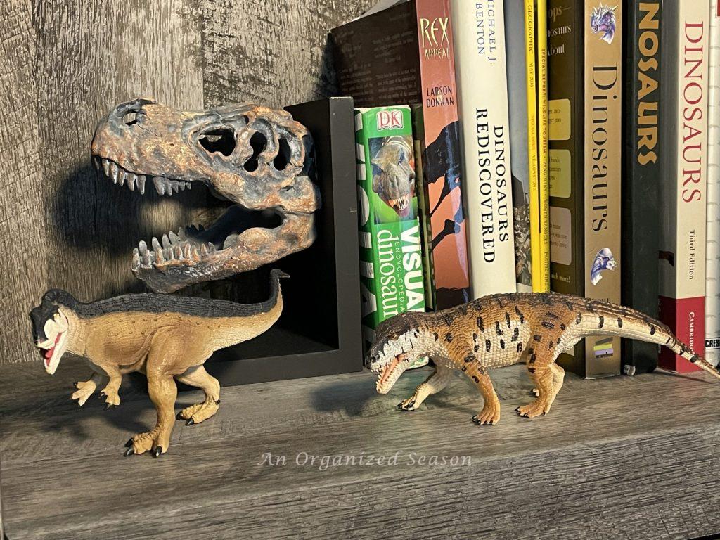 Dinosaurs and books on a shelf. 