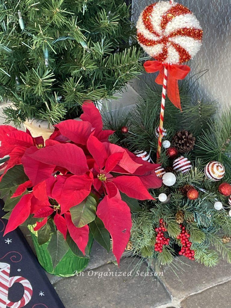 Red poinsettias make beautiful holiday porch decor. 