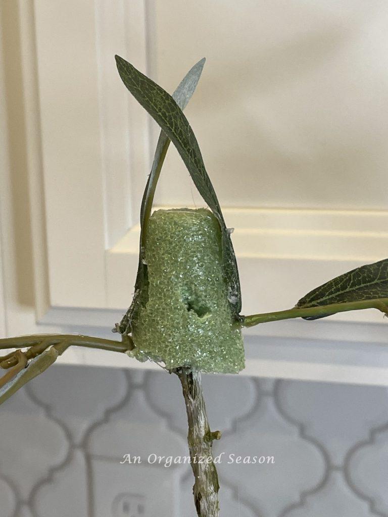 Olive branches glued into a Styrofoam cone tip, step six for how to make an olive topiary inspired by Magnolia.
