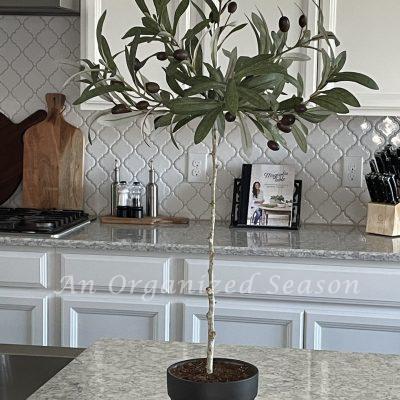 Make an Olive Topiary Inspired by Magnolia Home