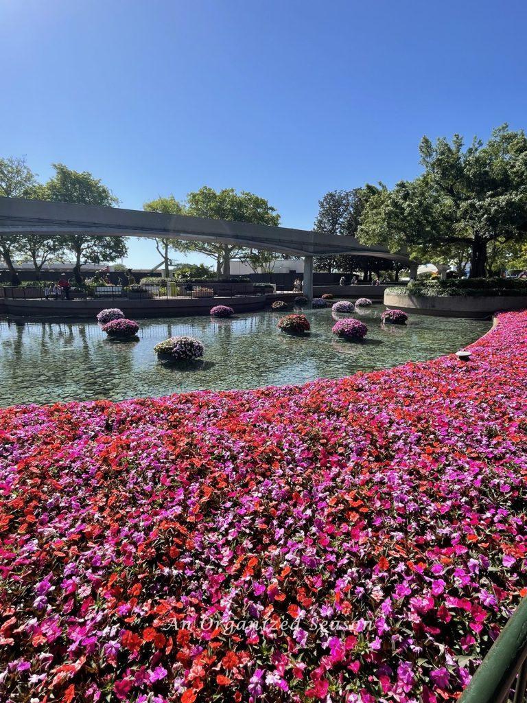 Floating flower pots at the EPCOT Flower and Garden Festival!