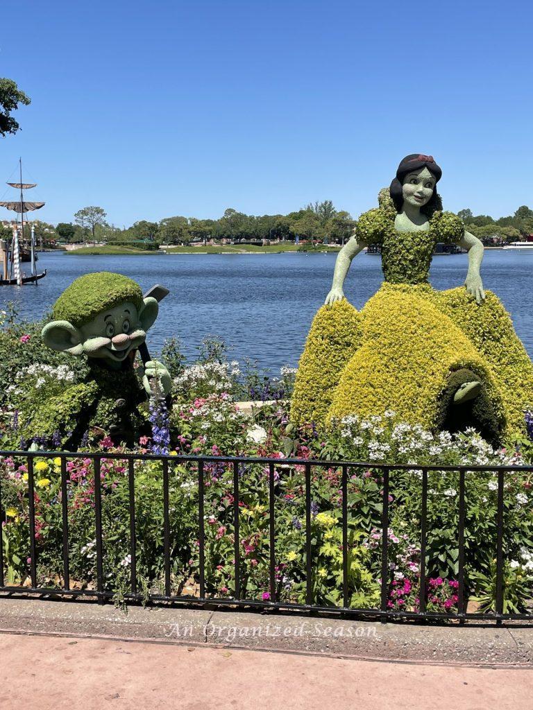 Topiaries of Snow White and Dopey at the EPCOT Flower and Garden Festival!