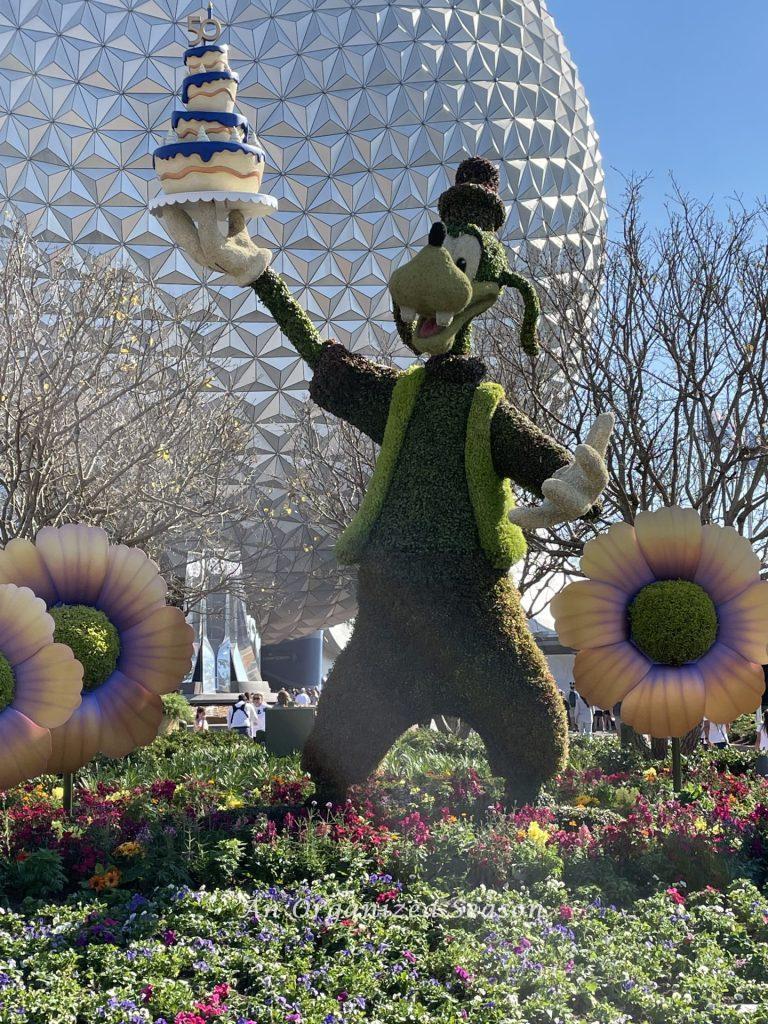 Topiary of Goofy holding a cake at the EPCOT Flower and Garden Festival!