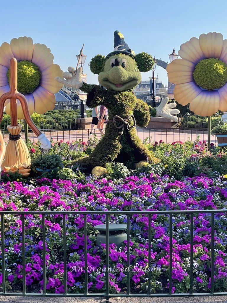 Sorcerer Mickey topiary at the EPCOT Flower and Garden Festival!