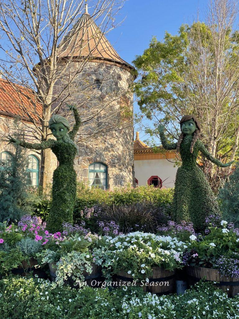 Topiaries of Anna and Elsa at the EPCOT Flower and Garden Festival!