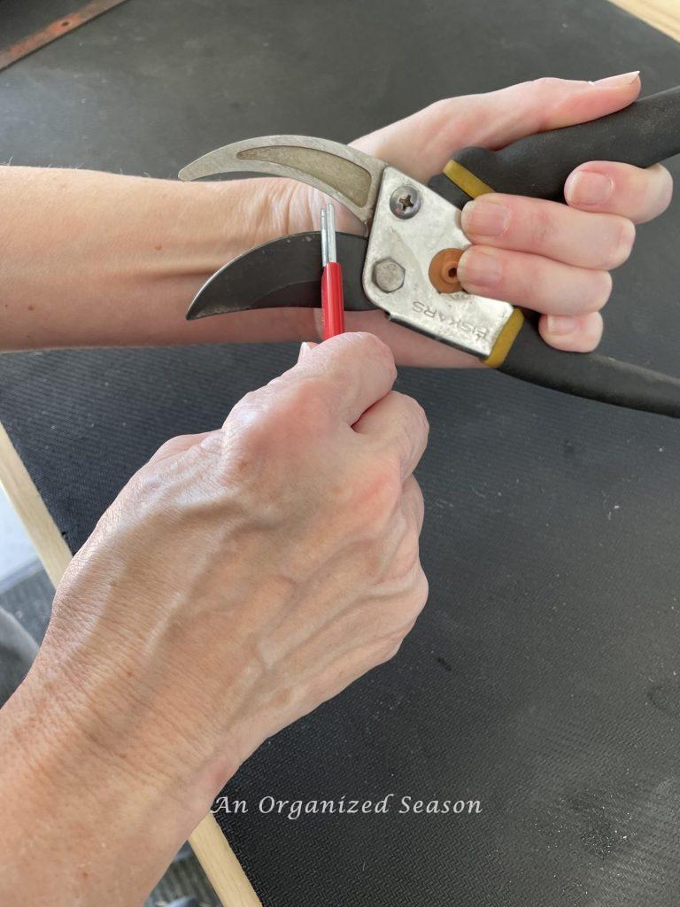 Sharpening pruner with carbide blade is step nine to learn how to maintain and organize your yard tools.