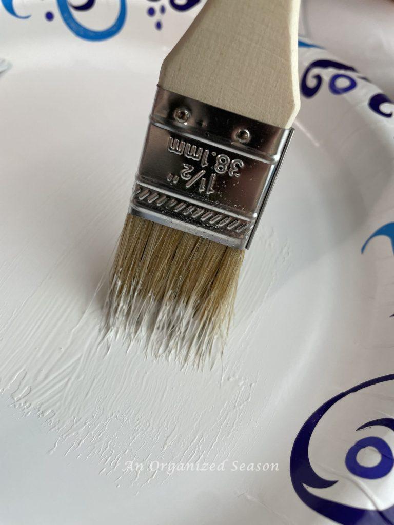 Paintbrush wiping excess white paint on plate. How to age terra cotta pots & add French flair.