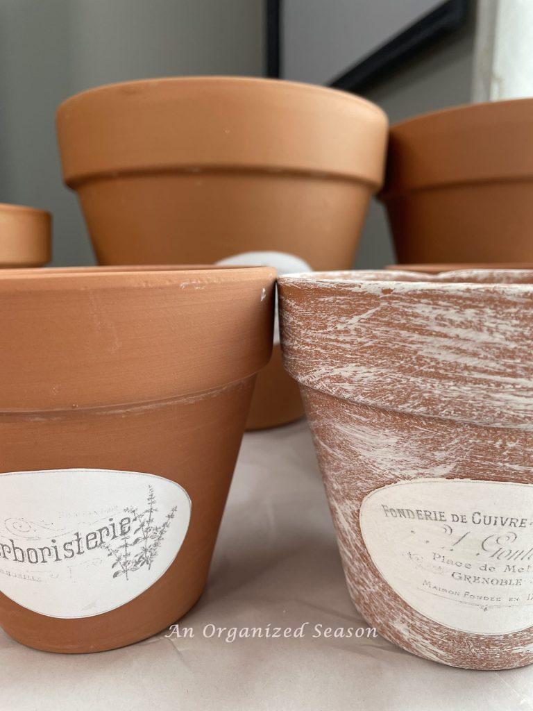 Add white paint showing step one for how to age terra cotta pots & add French flair. 