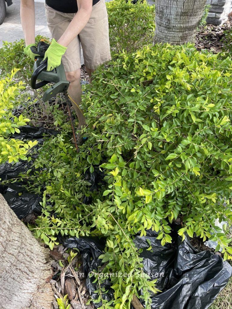 A woman trimming a shrub showing a  strategy to improve your home's curb appeal!