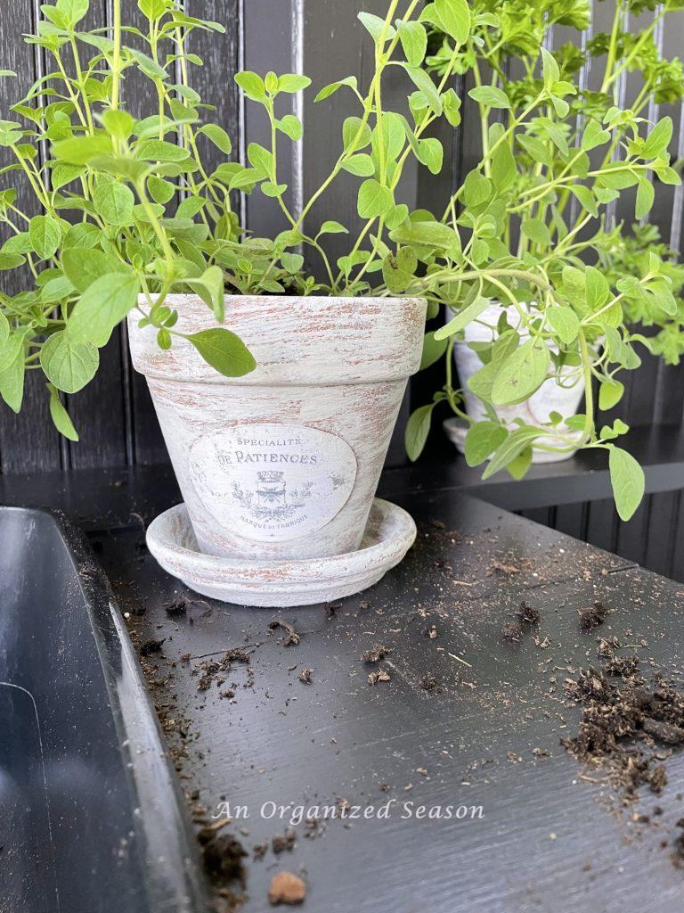 Dirt contained on a potting bench, one of 5  reasons to have an outdoor potting bench.