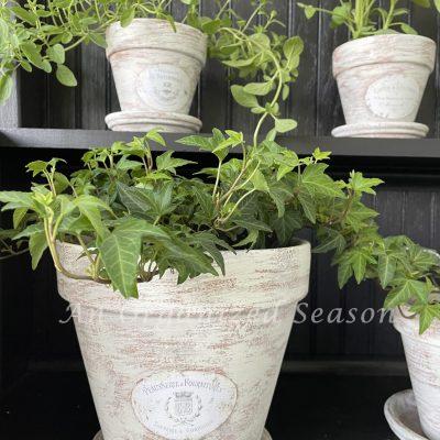 How to Age Terra Cotta Pots & Add French Flair