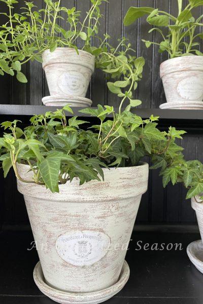 Age terra cotta pots with paint