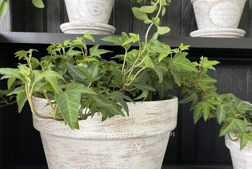 Age terra cotta pots with paint
