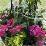 Simple tips to plant containers