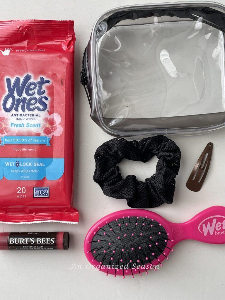 Travel bag, wet ones, brush, and scrunchie are items suggested on the amusement park ultimate packing list.