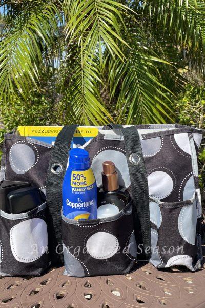 Organized pool bag