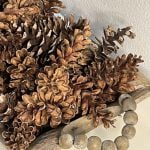 Preserve pine cones
