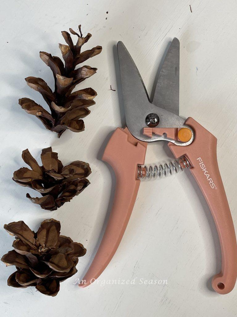 A pair of pruners next to a pine cone that was cut into 3 pieces to make a pinecone flower wreath.