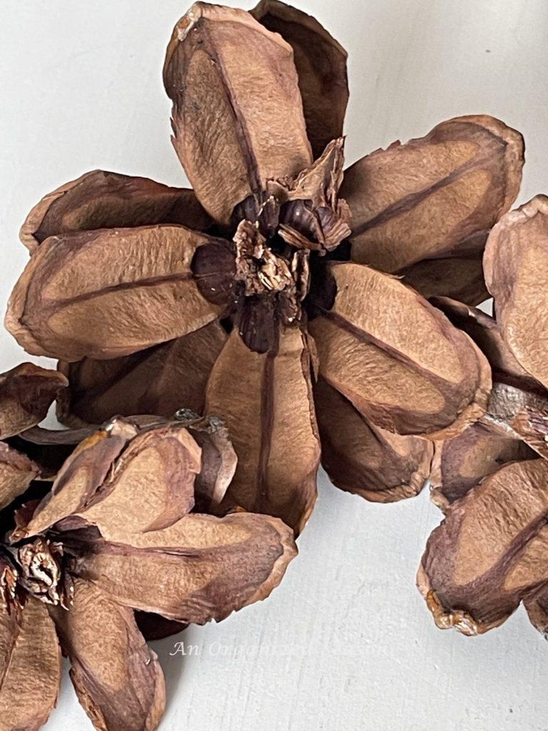 A close-up of a flower made from a pinecone