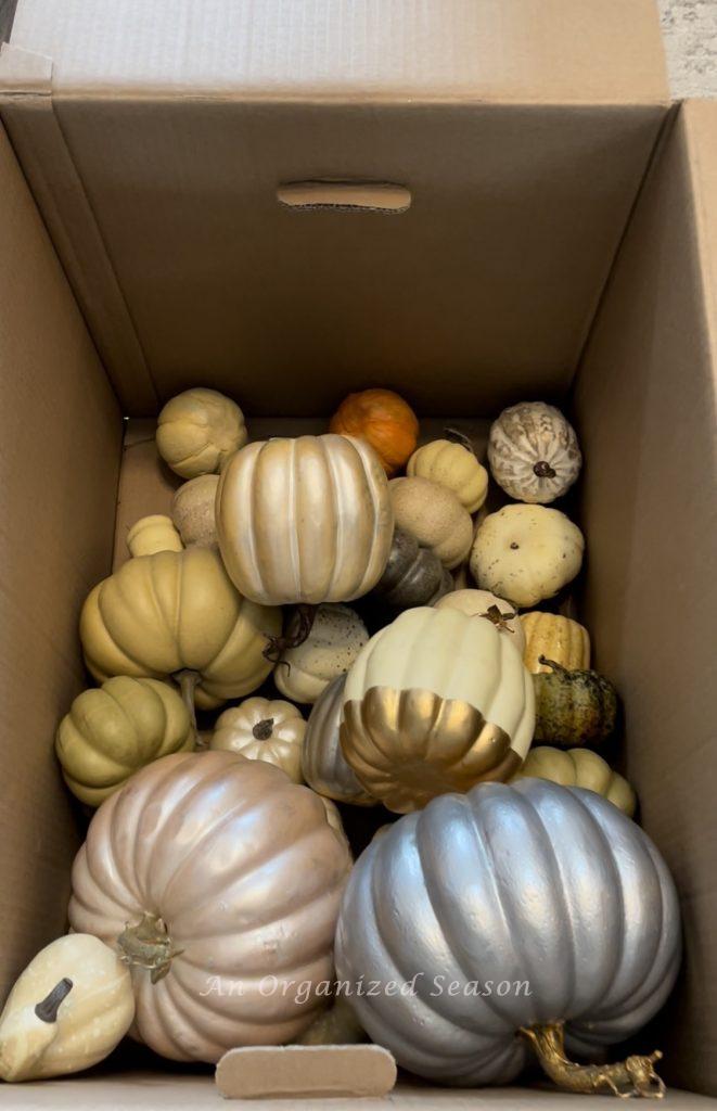 A box of pumpkins that will be used to make a pumpkin obelisk.