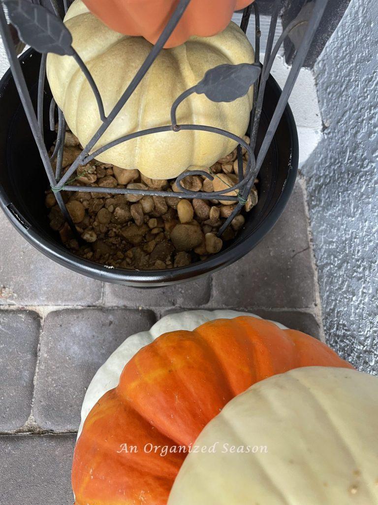 Rocks securing the pumpkin obelisks inside their flower pots. 