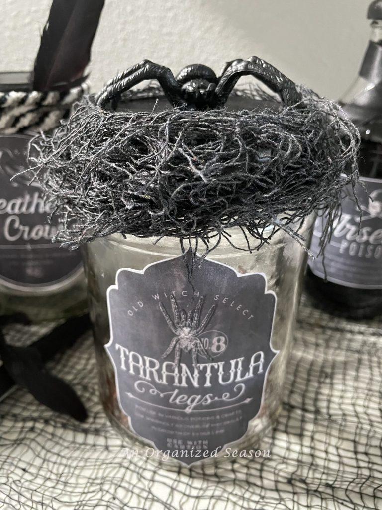 A jar of tarantula legs with a black spider on top.