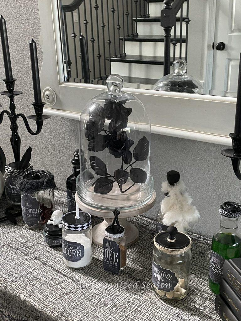 Potion bottles around a black rose in a cloche.