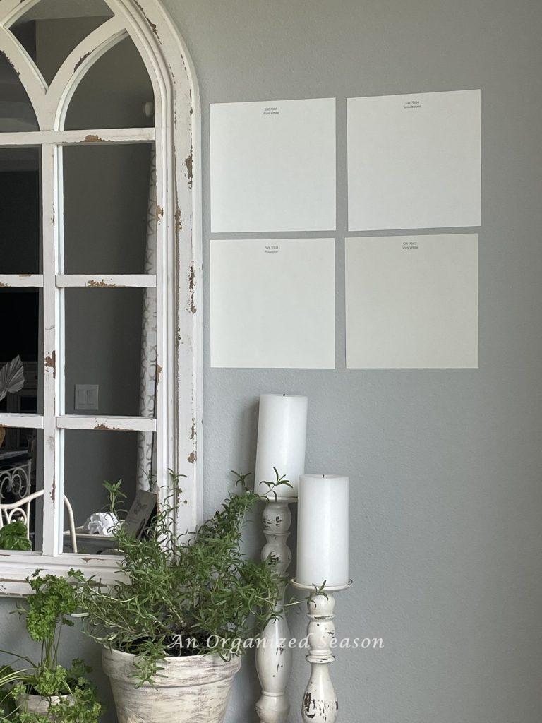 Four white paint color swatches on a gray wall, showcased on our Fall home tour.