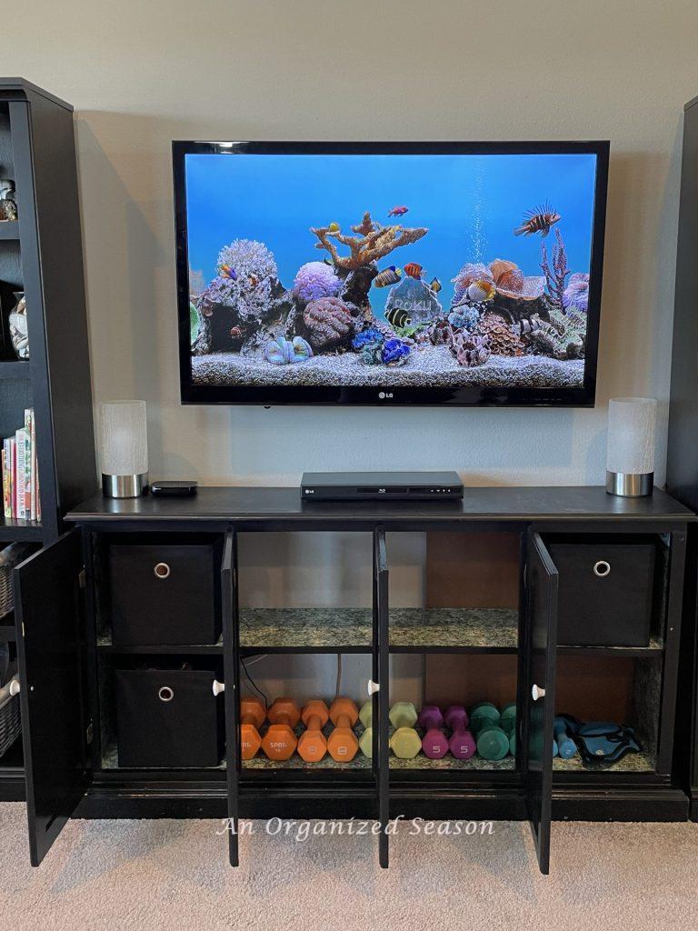 A cabinet with organized cubes and hand weights. 