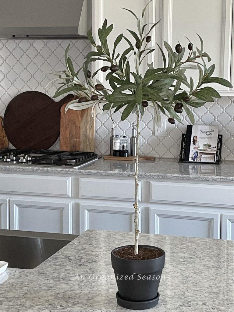 A DIY olive topiary in a black pot sitting on a kitchen counter.