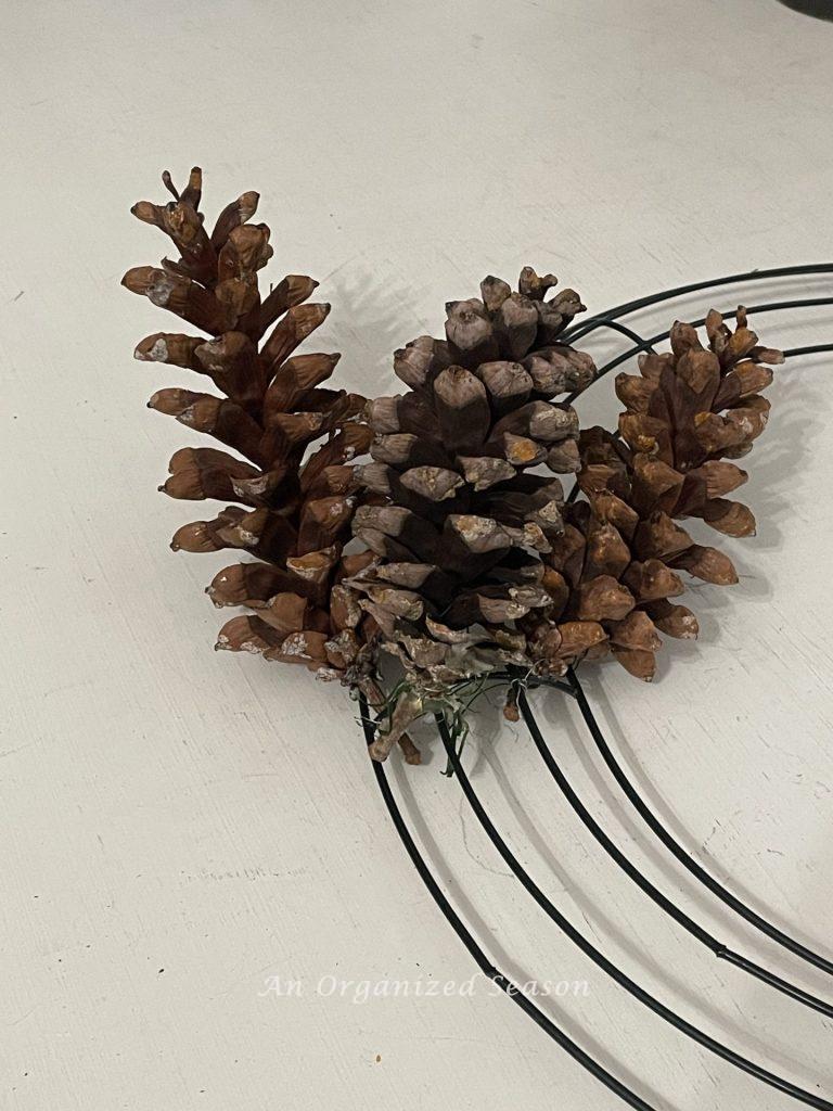 A small, medium, and large size pincone attached to a wire wreath form. 