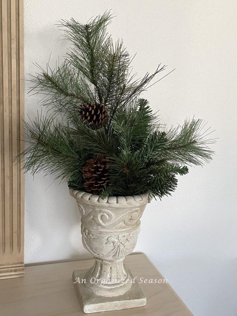 Evergreen branches and pinecones in a planter are an example of  Winter decor ideas that don't look like Christmas!