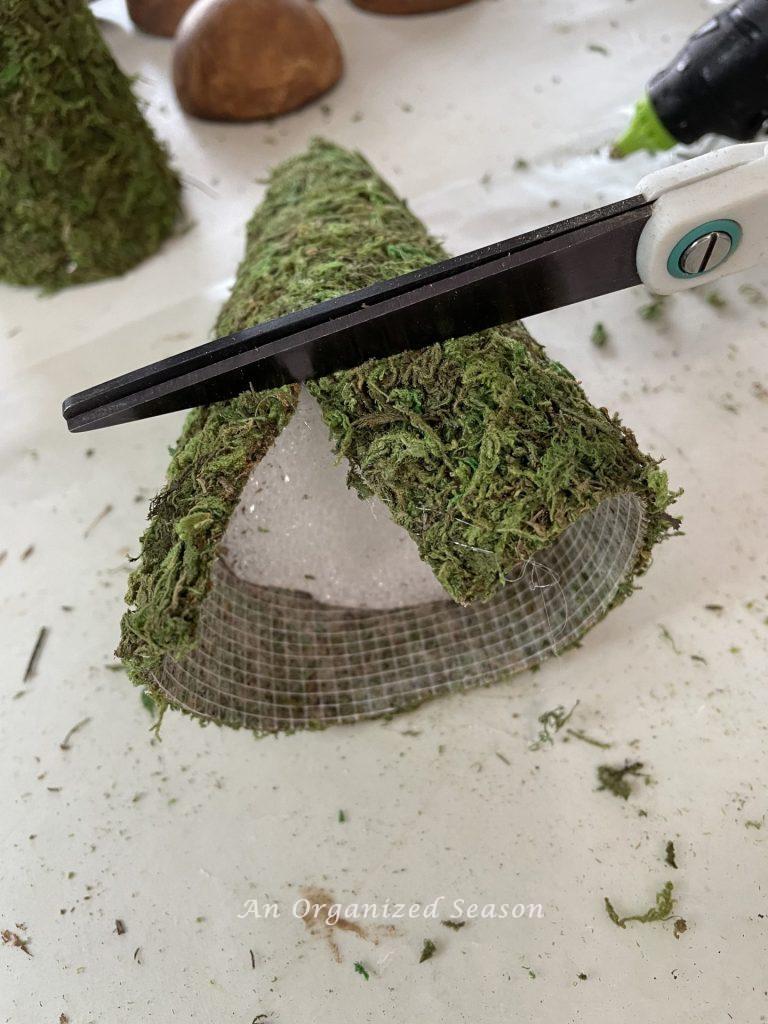 Someone getting ready to cut excess moss from a cone.