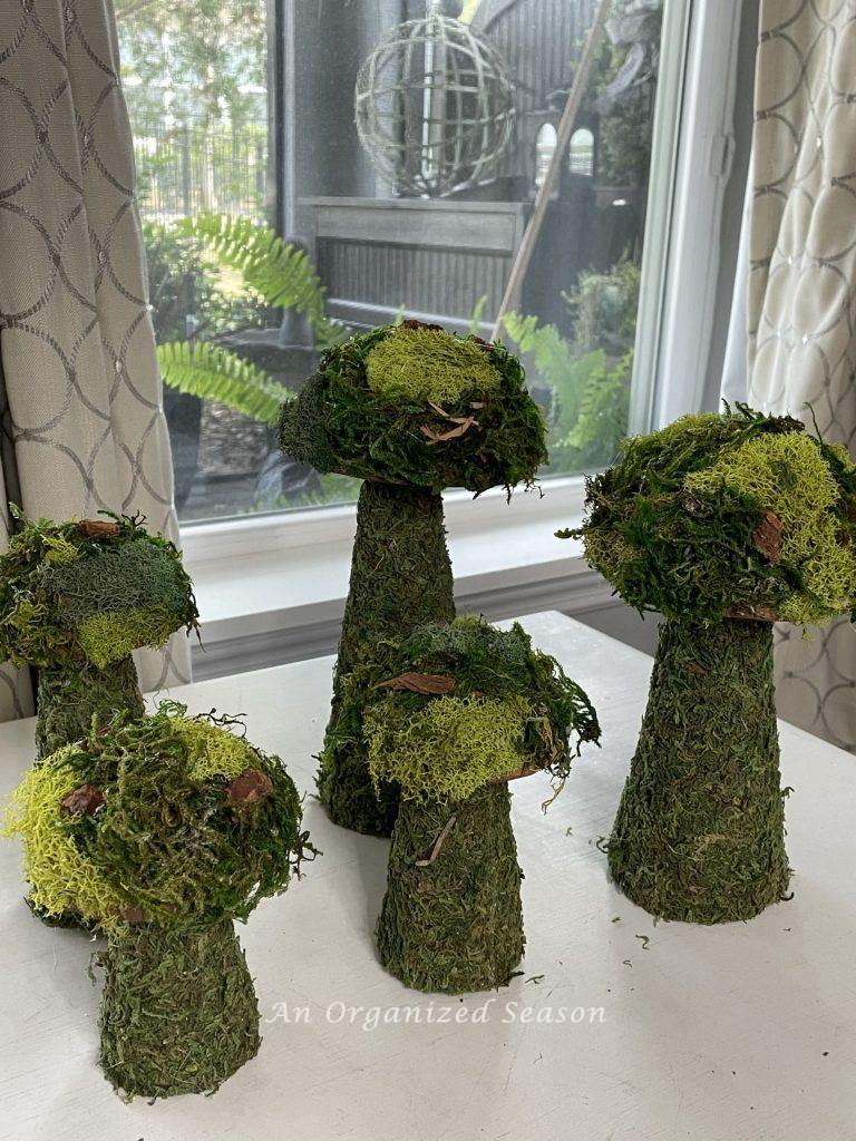 Five DIY moss mushrooms in varying heights. 