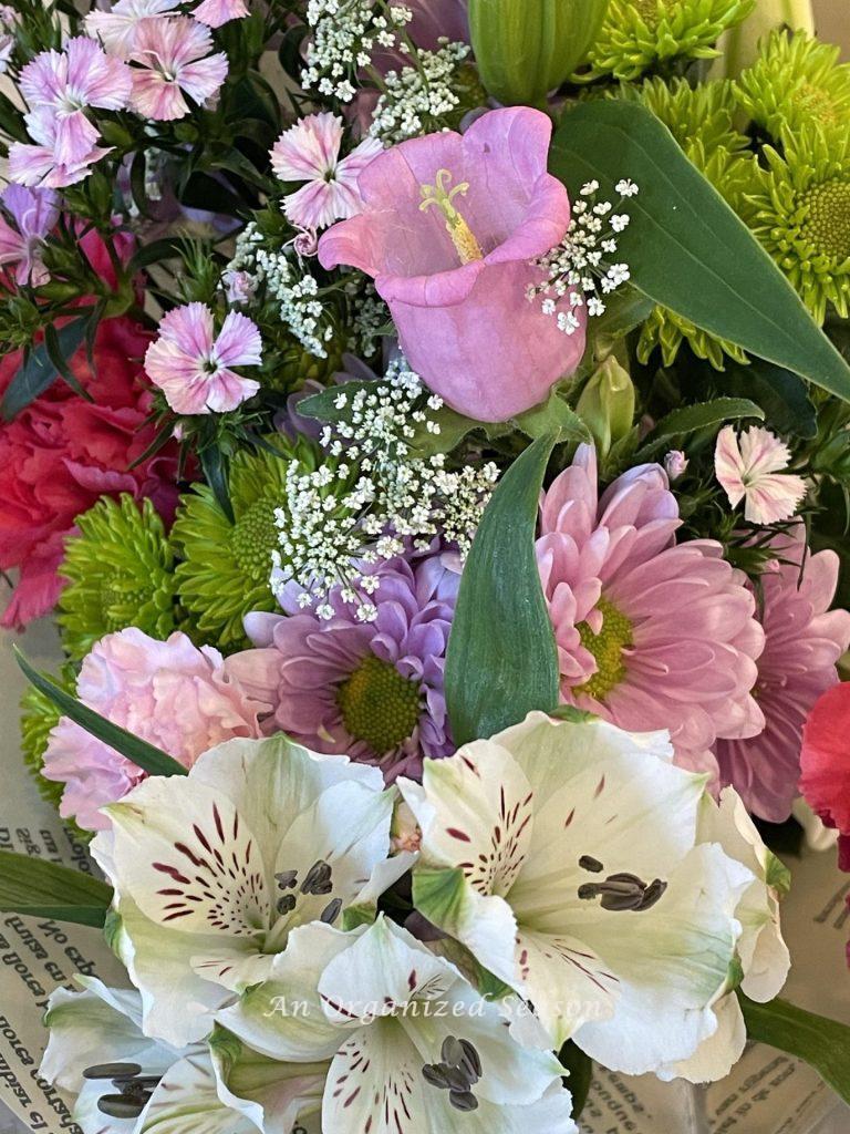 Assortment of Spring flowers. 