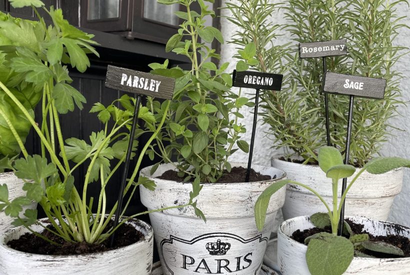 Three painted and stenciled French flower pots.
