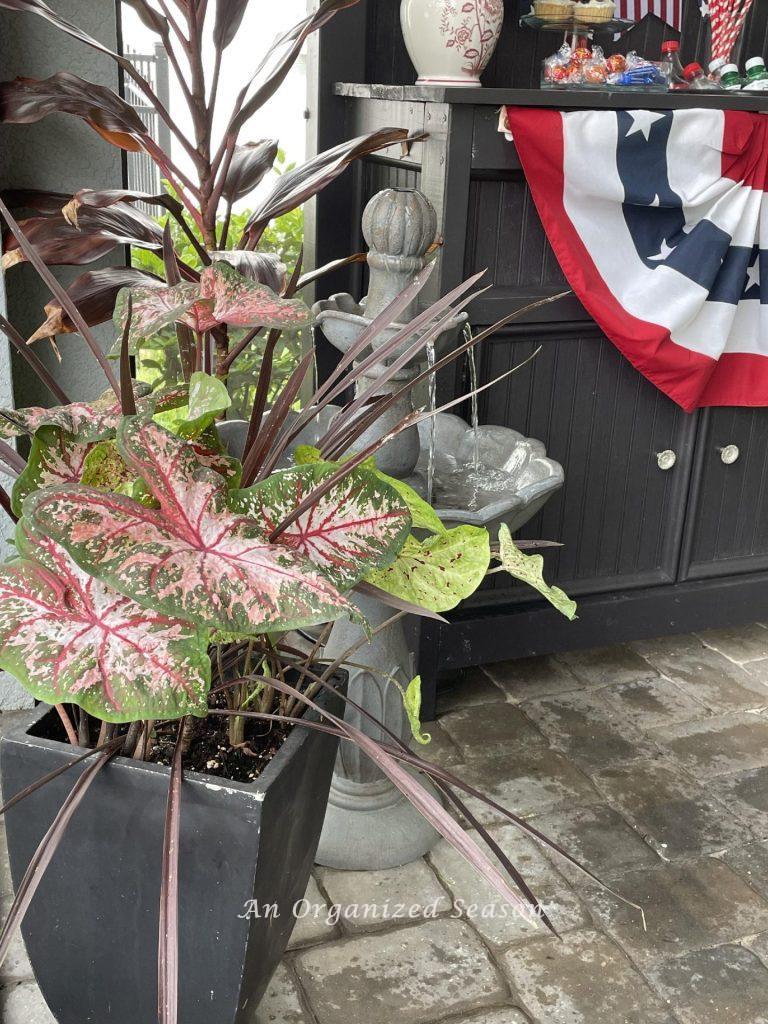 Tropical plants and a fountain next to a potting bench decorated for the 4th of July. 