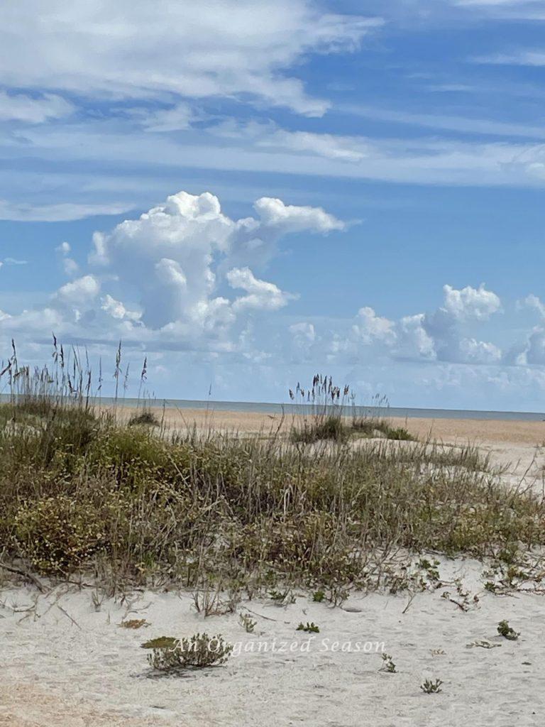 Sand dunes next to the ocean. 