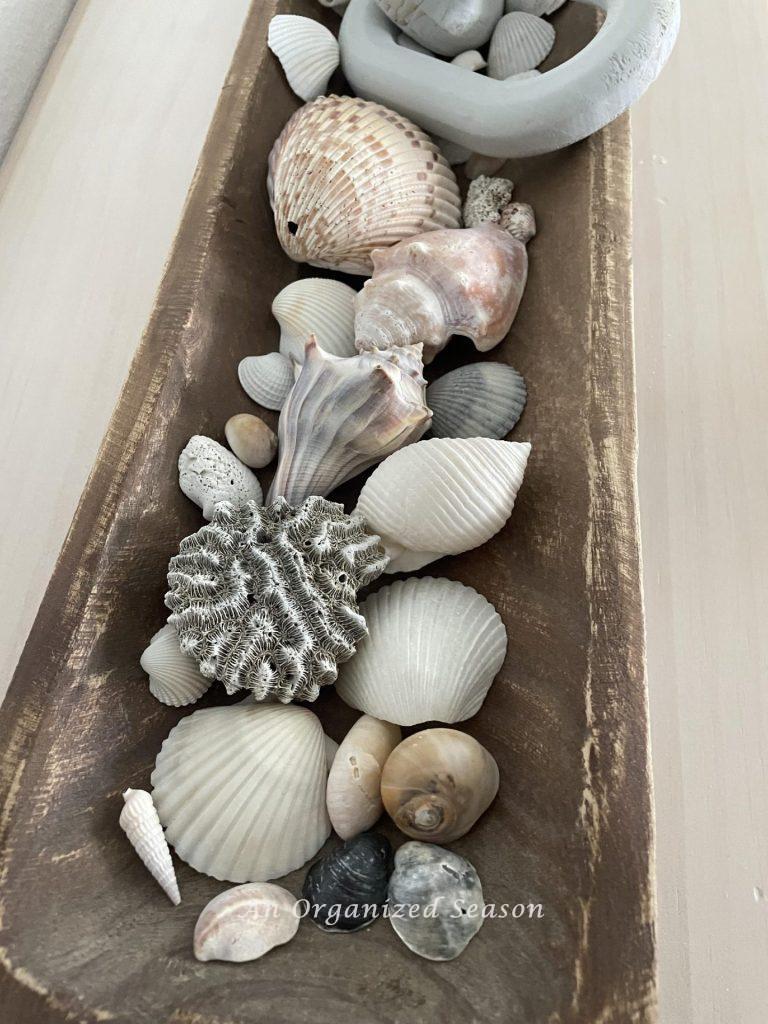Sea shells displayed in a dough bowl. 