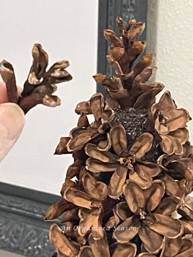 Use the top pieces of the pinecone to fill in holes between the flowers. 