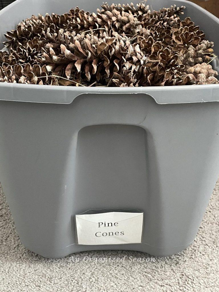 A gray plastic tub filled with pinecones. 