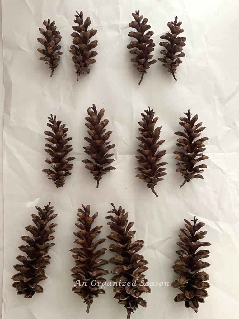 Step three to make a pinecone Christmas tree is to arrange your pinecones by size in groups of small, medium, and large.