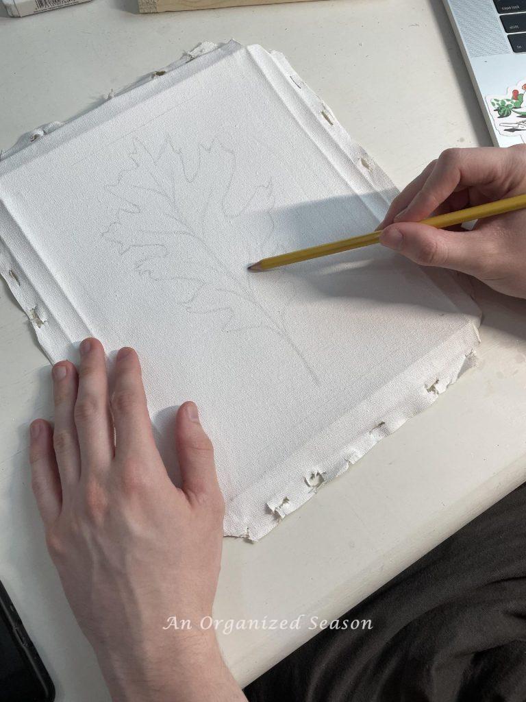 Someone drawing a leaf on a canvas with a pencil. 